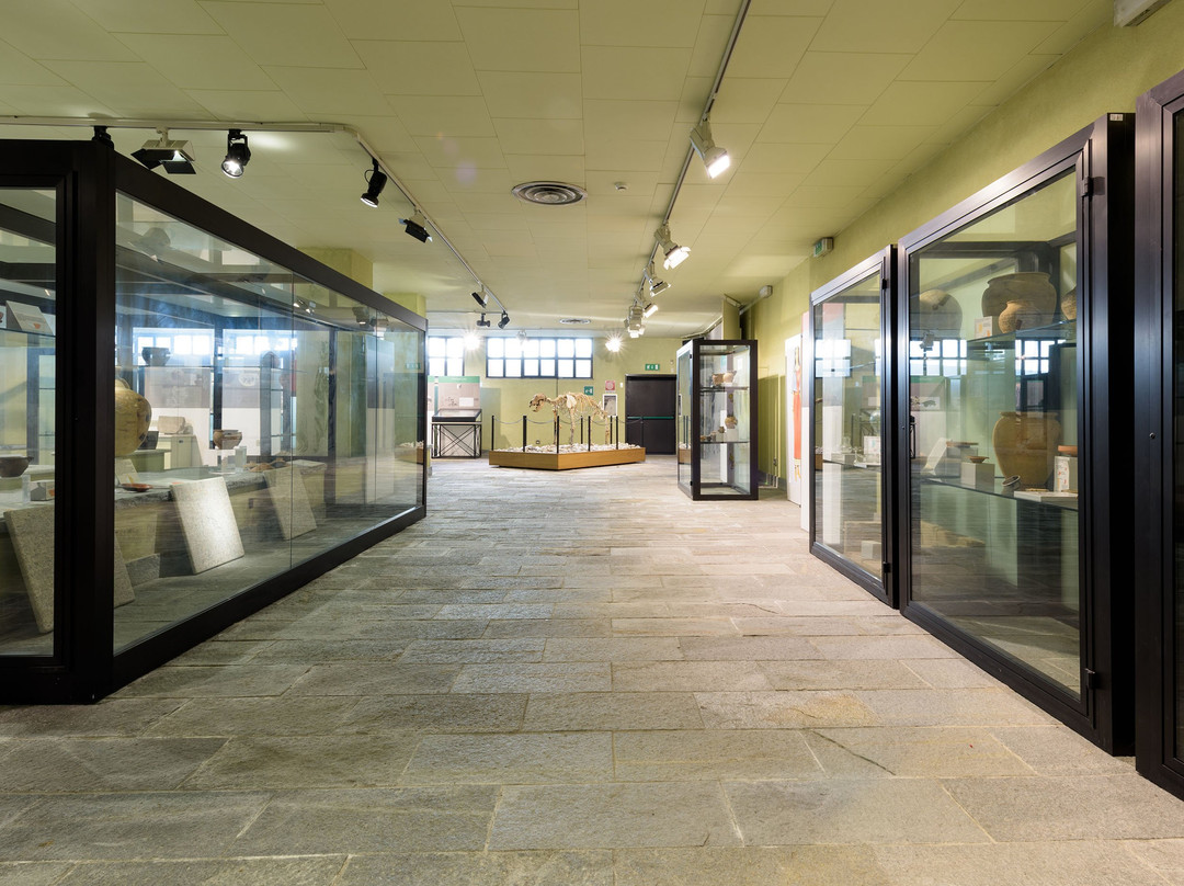 Museo di Archeologia e Paleontologia "Carlo Conti"-Borgosesia必去景点