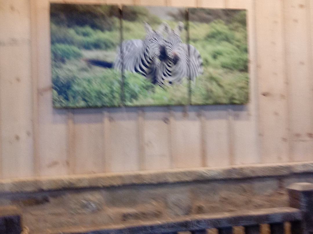 Safari Winery-弗雷德里克斯堡必去景点