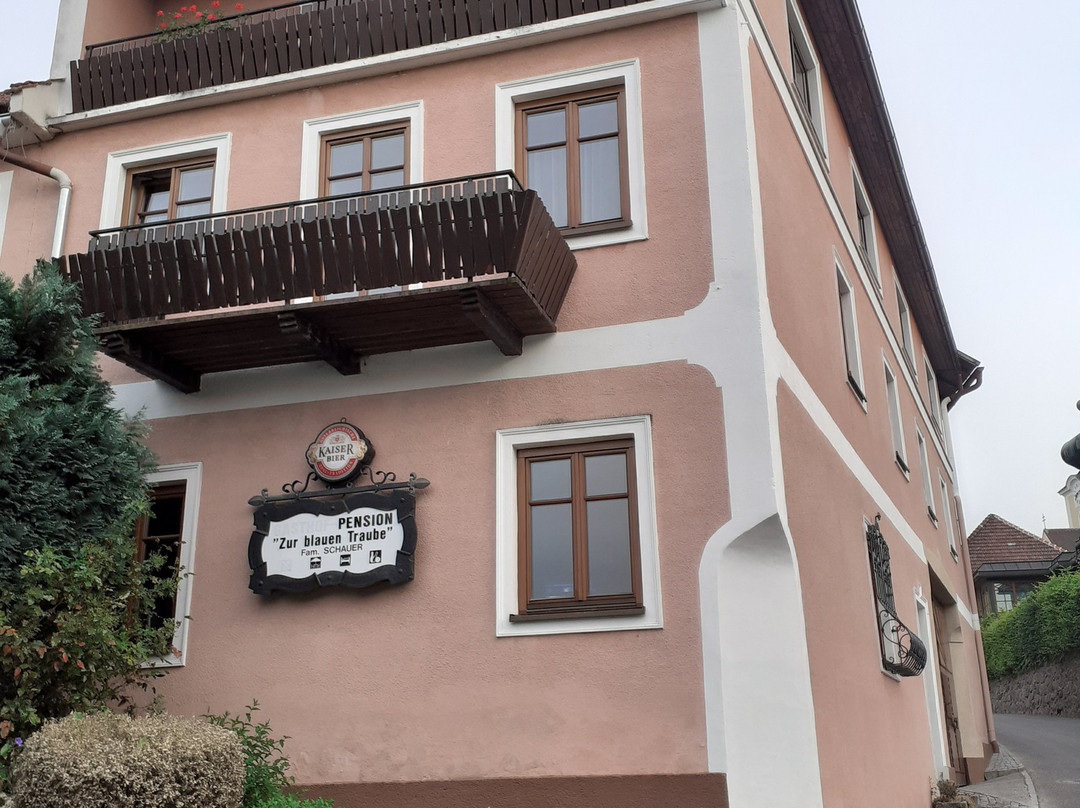 Landgasthof zur Blauen Traube主图