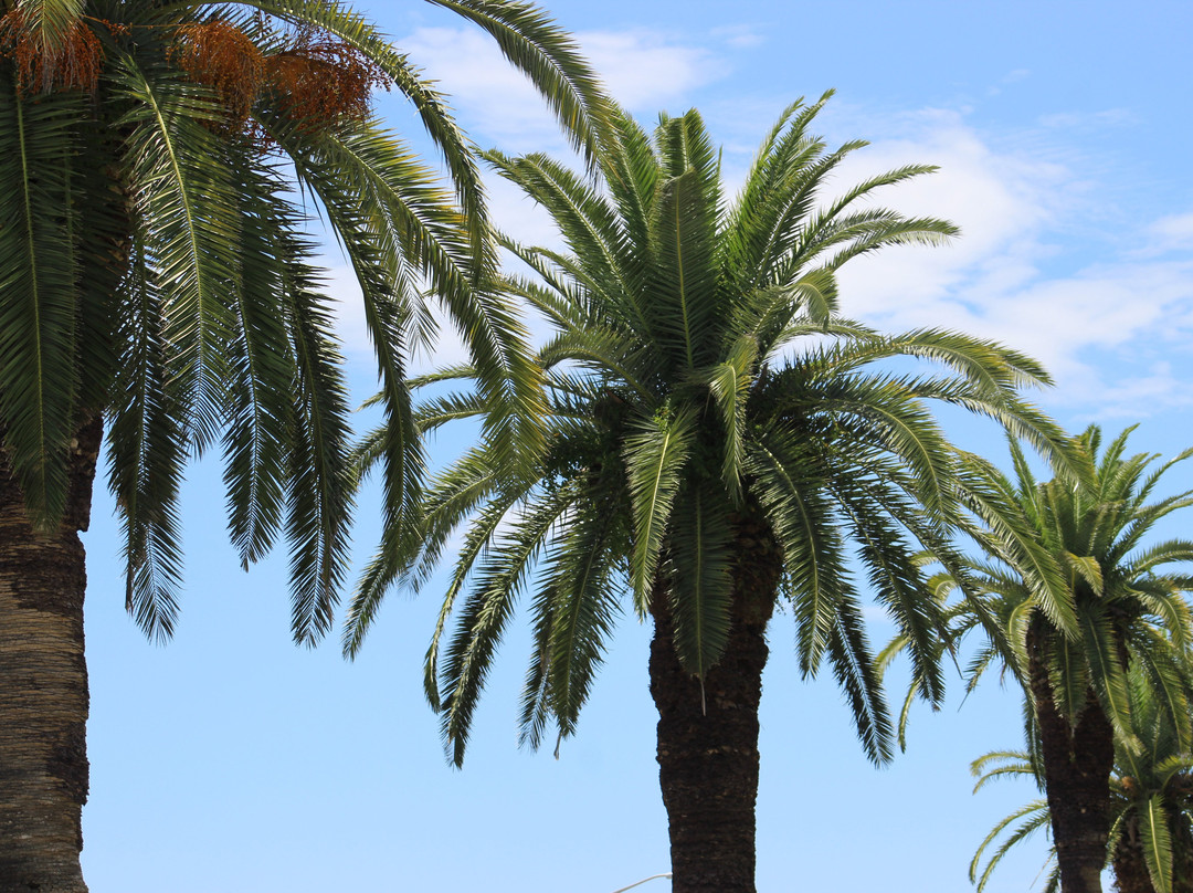 White House Hotel主图