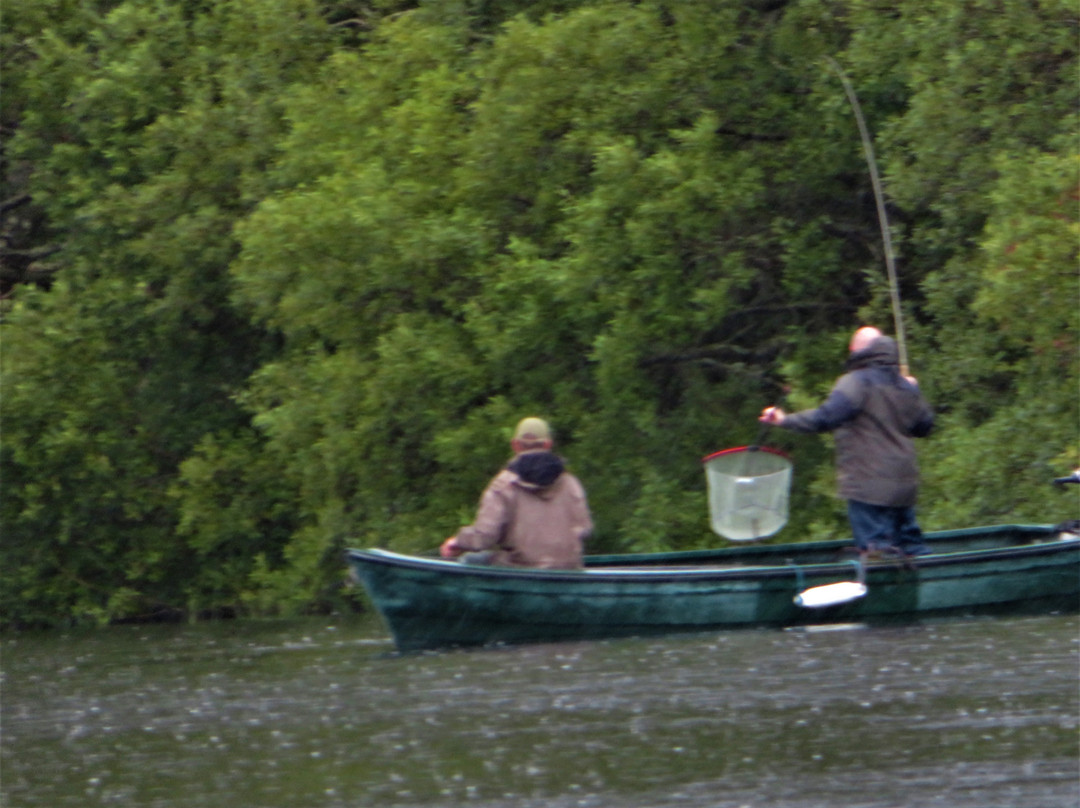 Glensherup Fishery-Glendevon必去景点