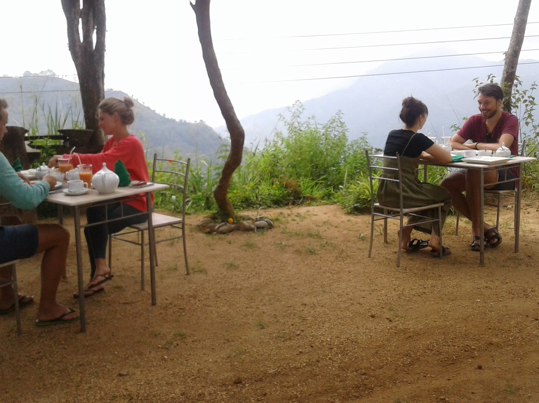 Dew Drop Resort主图