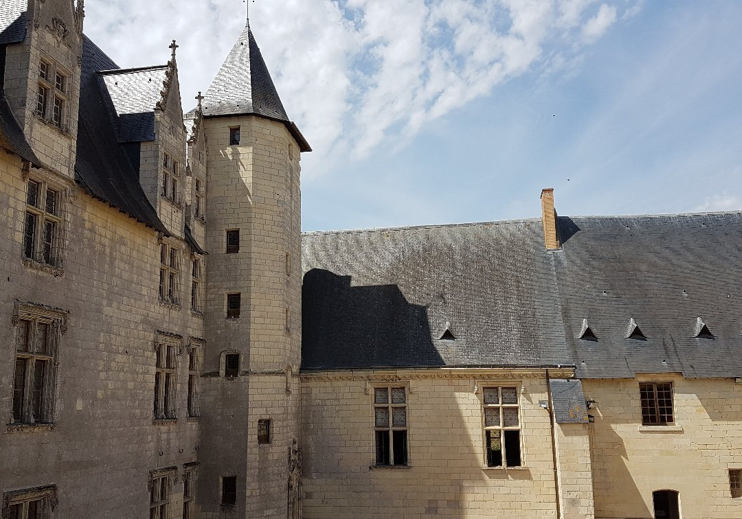 Chateau du Plessis-Bourré景点图片