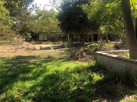 Hopkins Wilderness Park-雷东多海滩必去景点