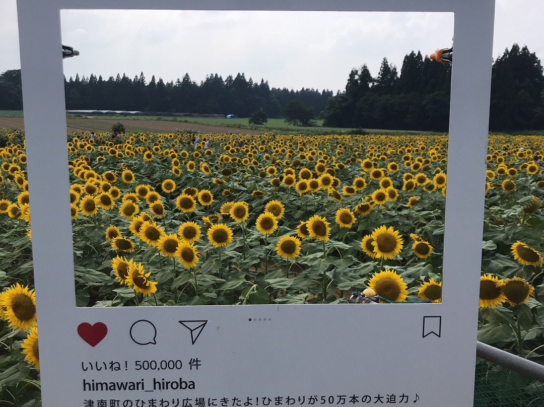 Tsunan Himawari Square-津南町必去景点