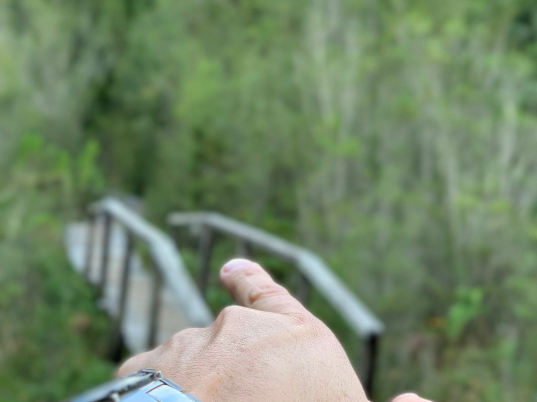 Parque Pumalin-Chaiten必去景点