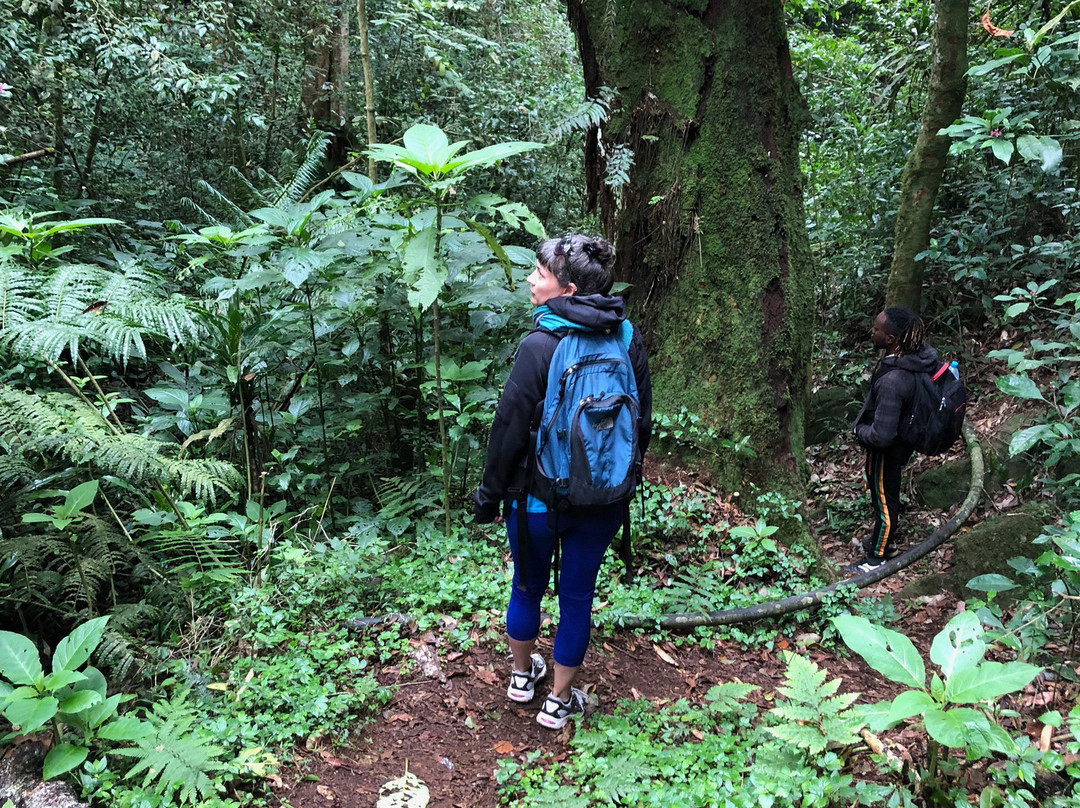 Friends of Usambara Society-卢绍托必去景点