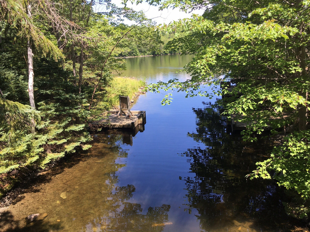 Lower Sackville旅游攻略图片