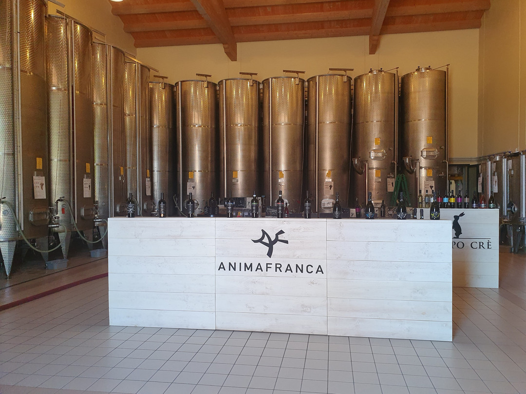 Casa Baccichetto Azienda Agricola景点图片