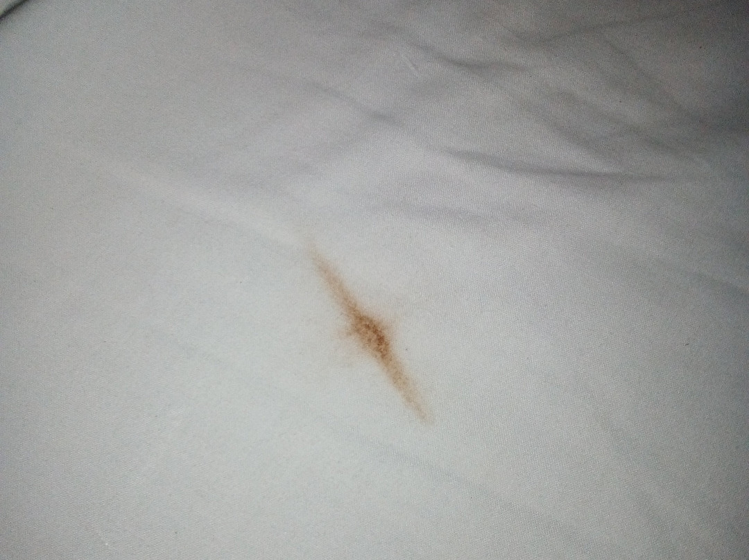 ibis Styles Cayenne Centre Amazonia主图