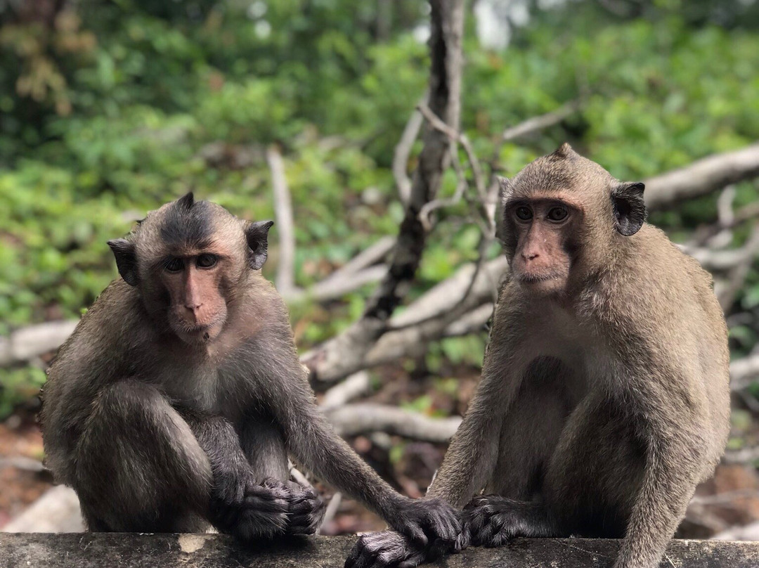 Chedi Itsaraphap-尖竹汶必去景点