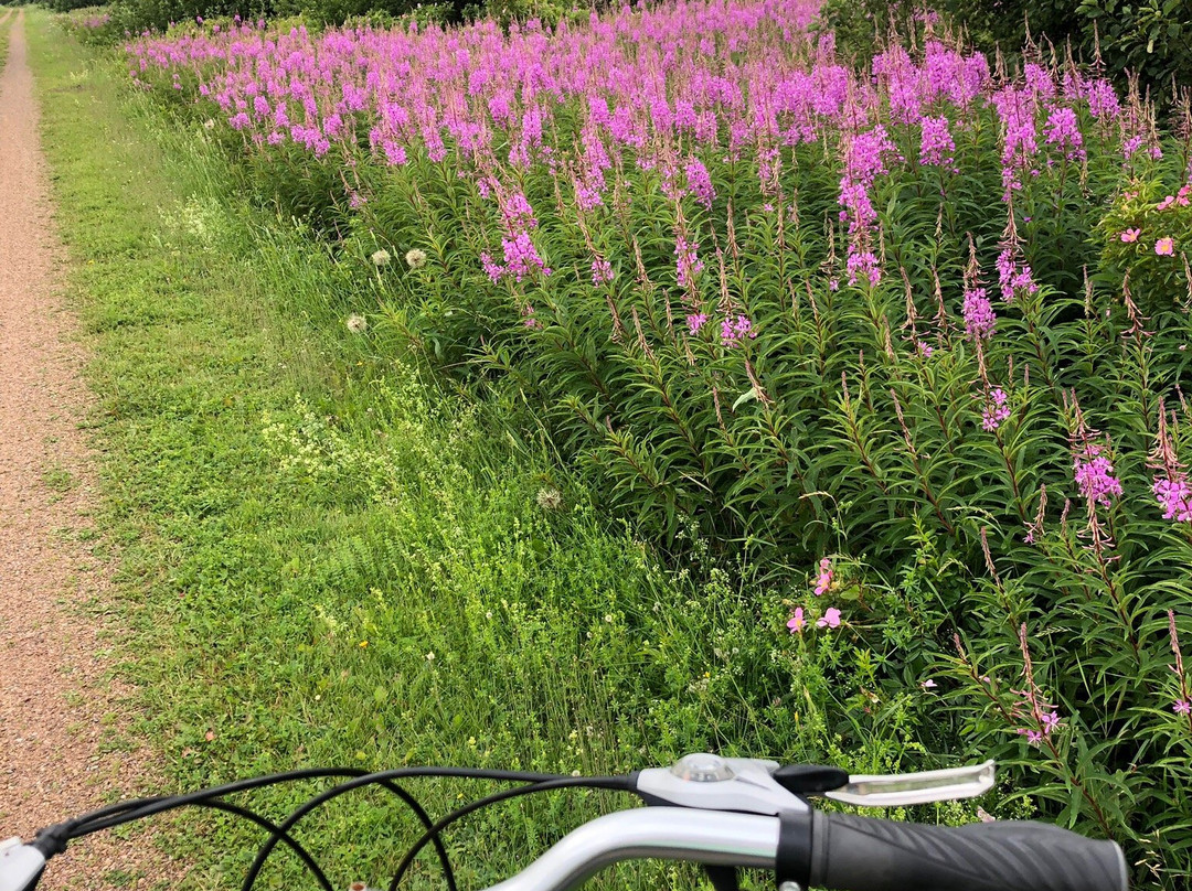 Confederation Trail Bike Rental Adventures-Saint Peters Bay必去景点