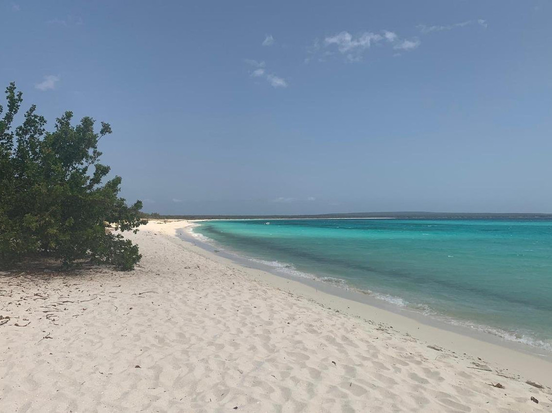 Saonaviptours-Isla Saona必去景点