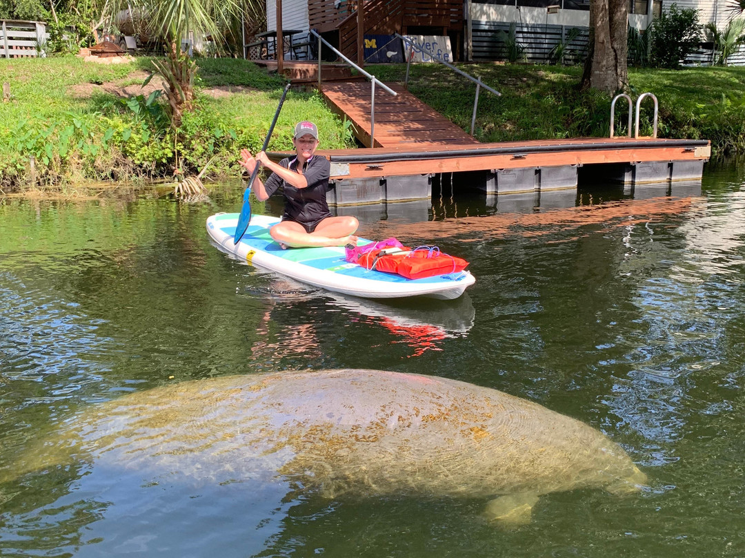 SUP Weeki (Stand Up Paddleboard)-Weeki Wachee必去景点