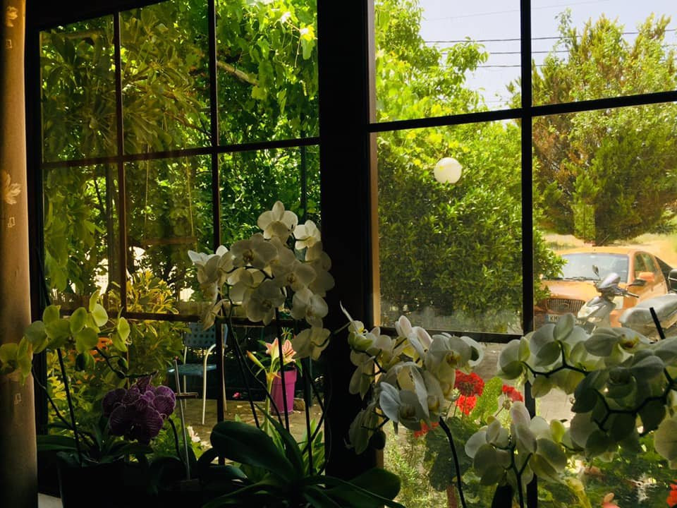 Hotel Melivoia主图