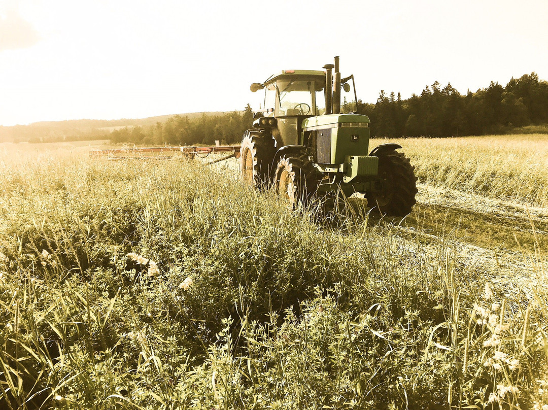 Fromagerie La Station-Compton必去景点