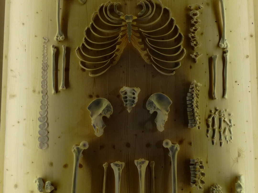 Rettenegg旅游攻略图片