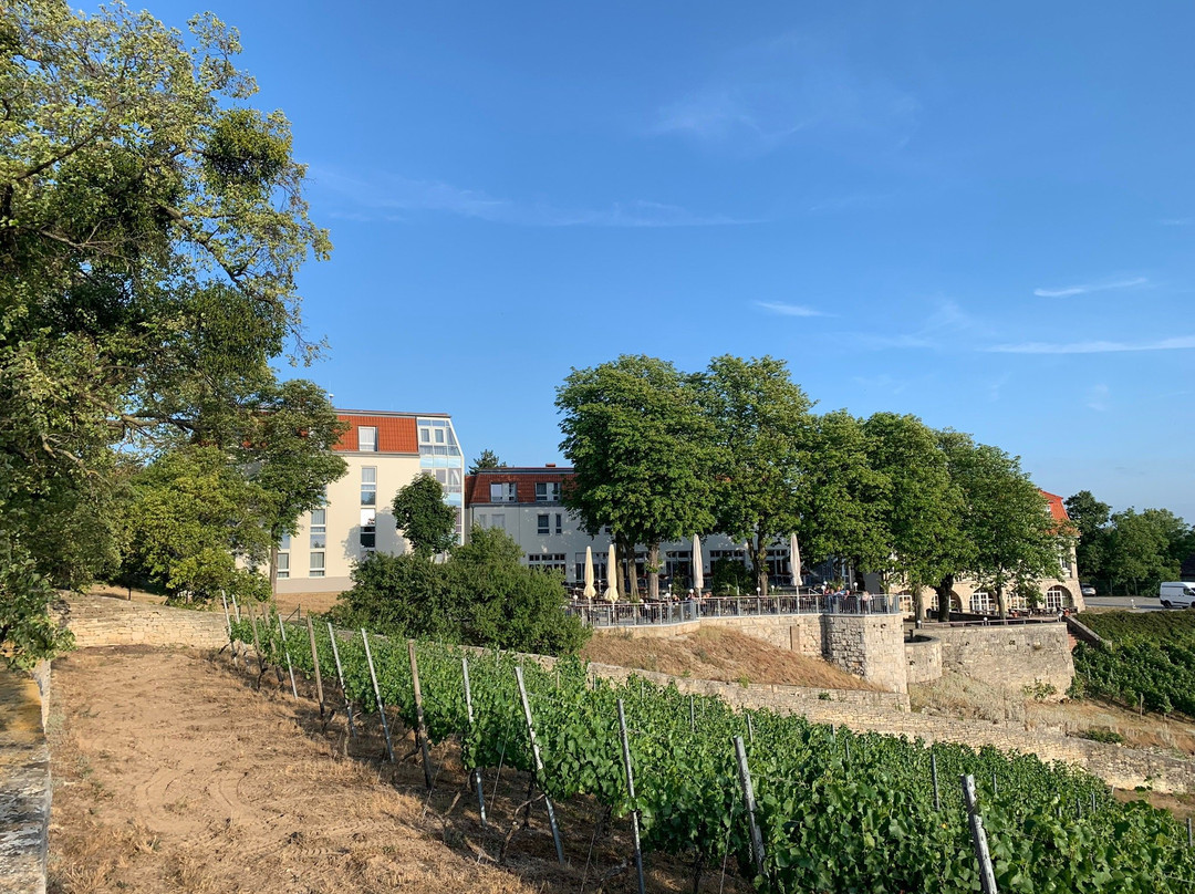 Weinberghotel Edelacker主图