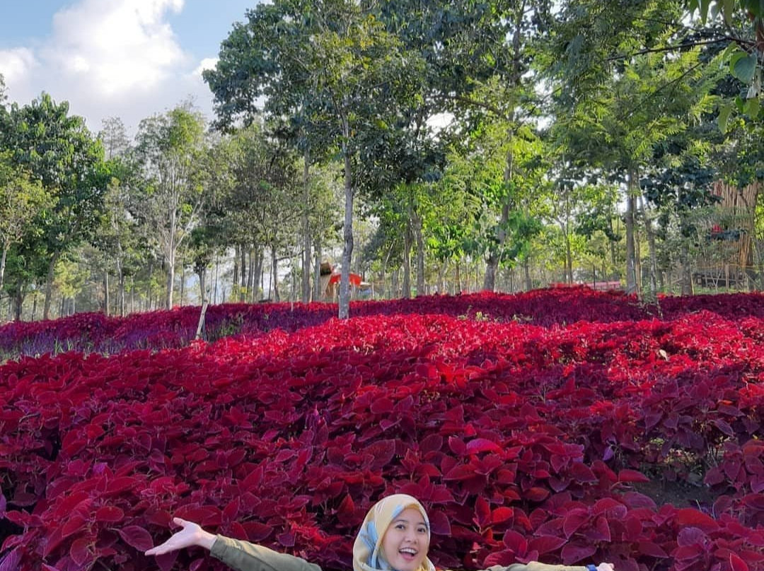 Wana Wisata Negeri Bambu-Prigen必去景点