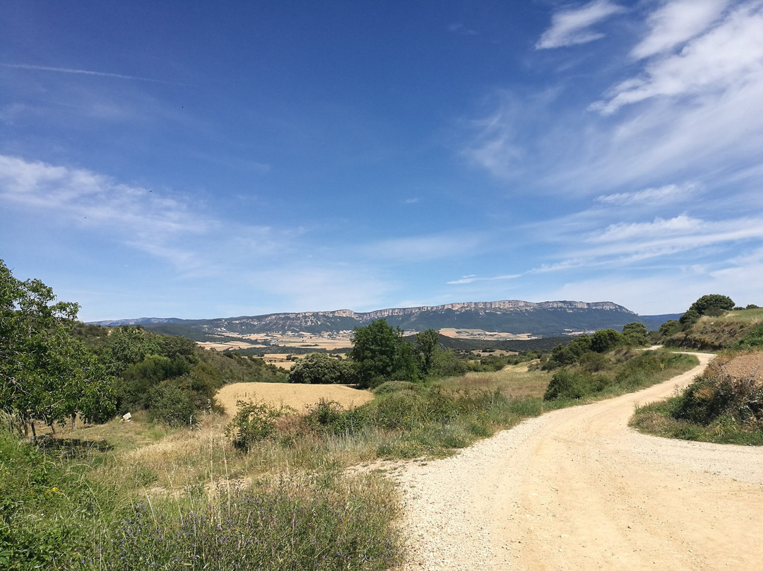 Fuente de los Moros siglo XIII-Villamayor de Monjardin必去景点