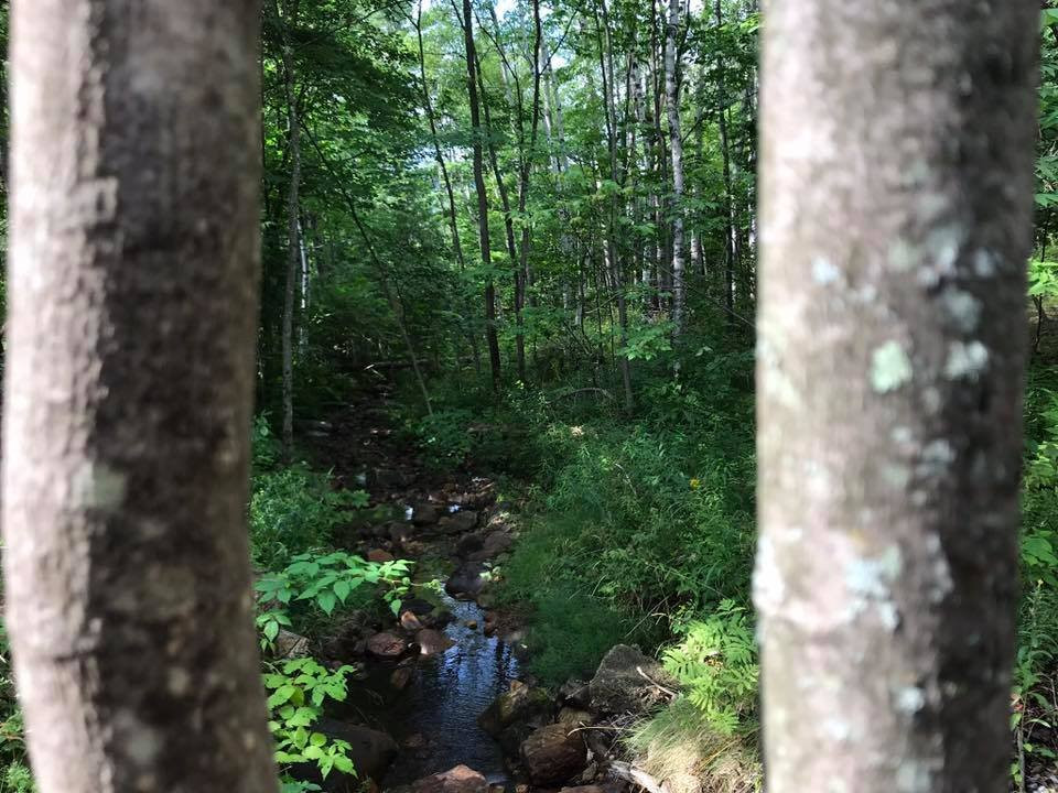 Adirondack Spruce Lodge主图