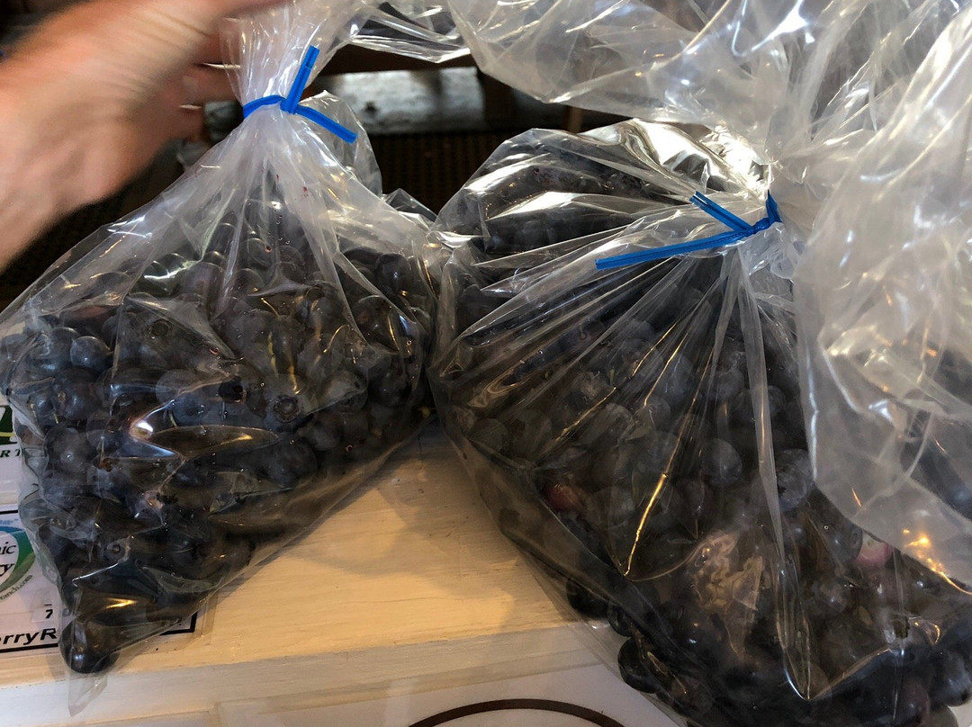 Blueberry Ranch-米沙沃卡必去景点