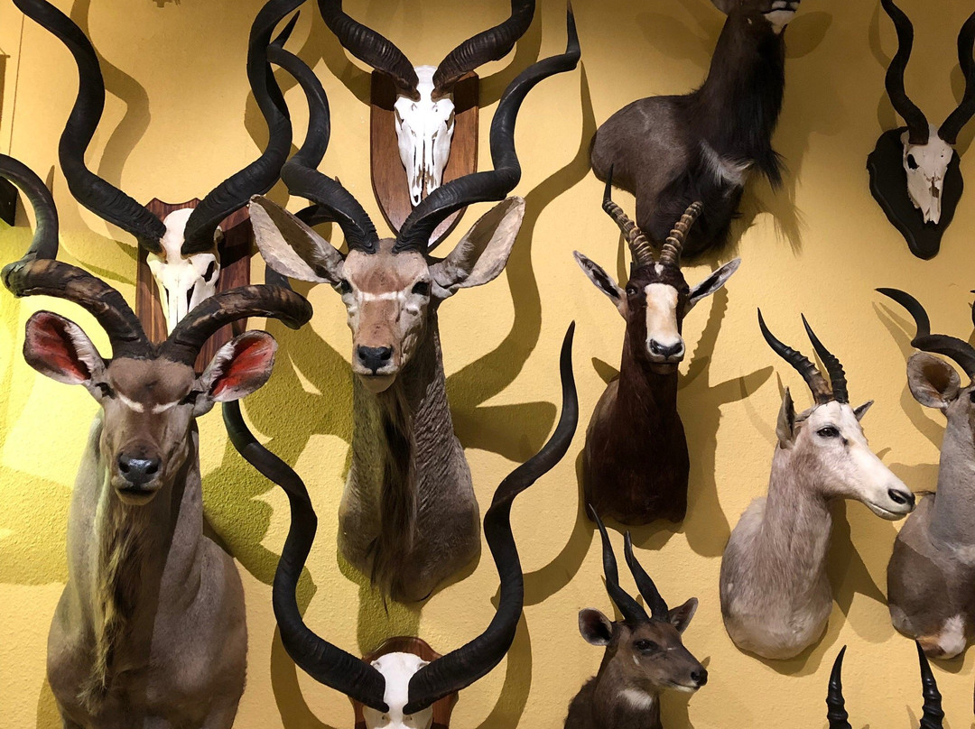 Hunting Museum of Finland-Riihimaki必去景点