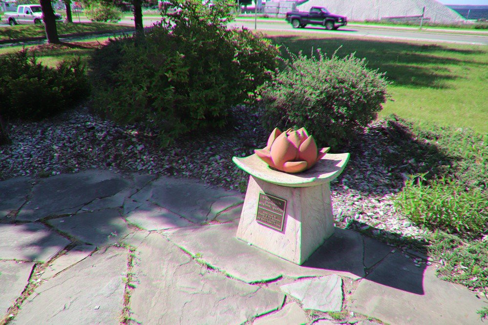 Escanaba Public Library-Escanaba必去景点