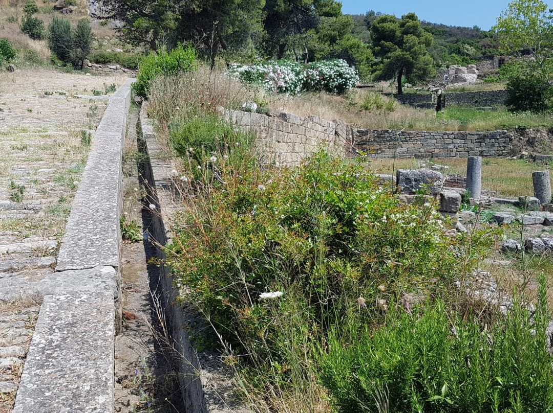 Torre Velia di Ascea景点图片