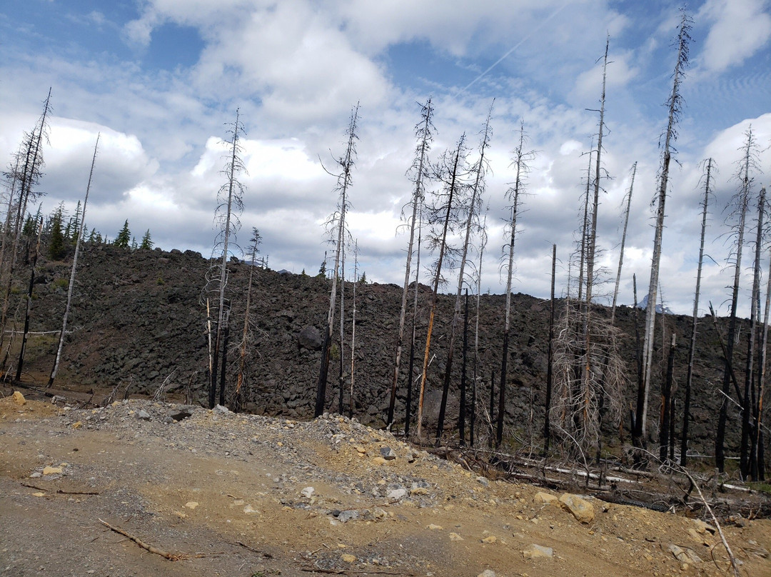 McKenzie Pass-Santiam Pass loop-Sisters必去景点