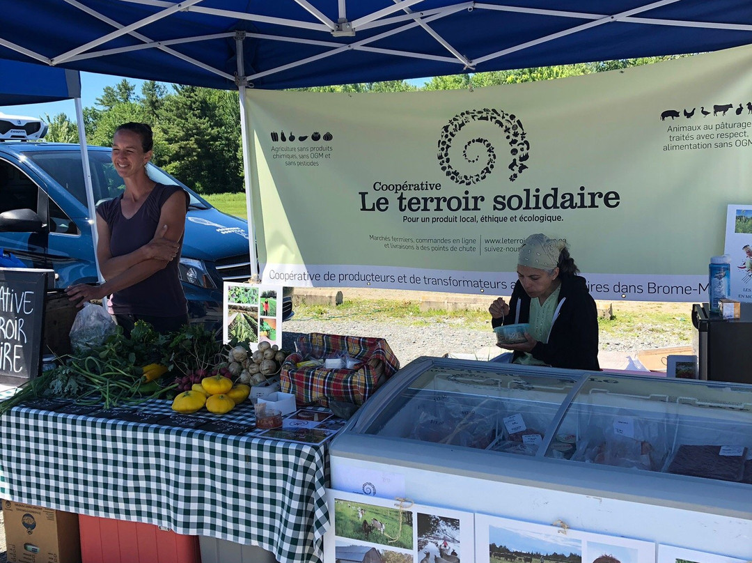 Marché public de Magog-梅戈格必去景点