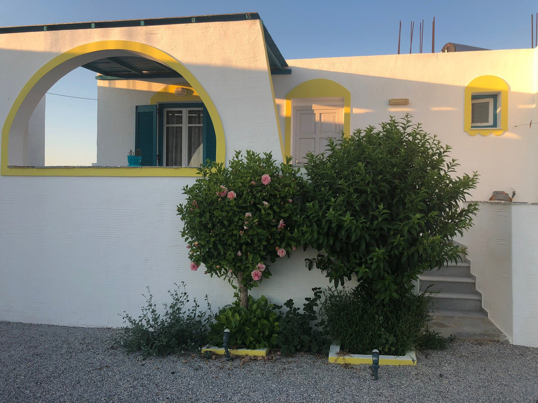 Apollonia Studios主图