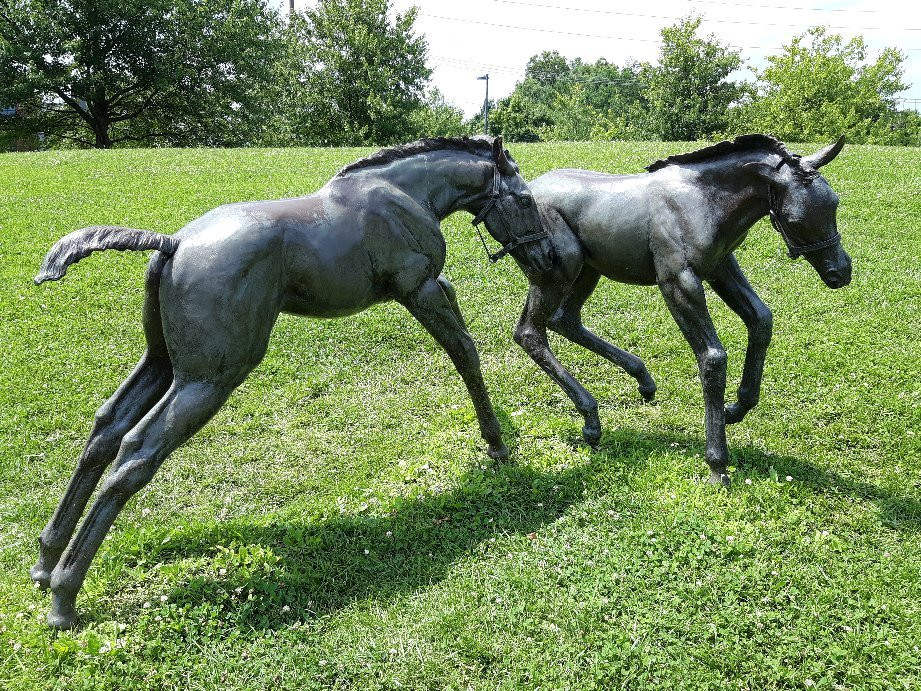 Thoroughbred Park景点图片