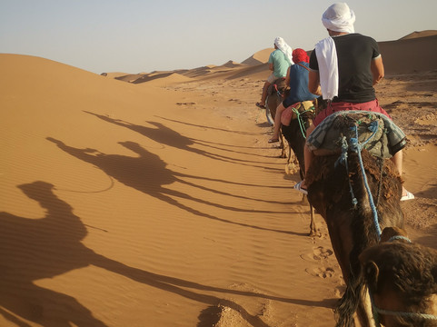 沙漠峡谷之旅-马拉喀什必去景点