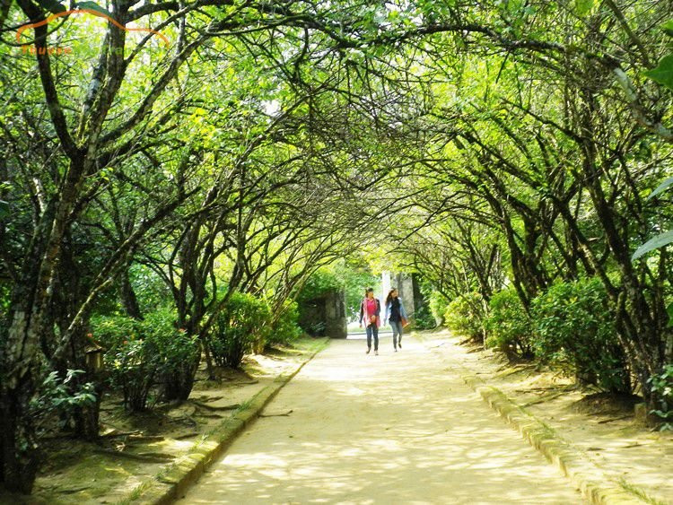 An Hien Garden House景点图片