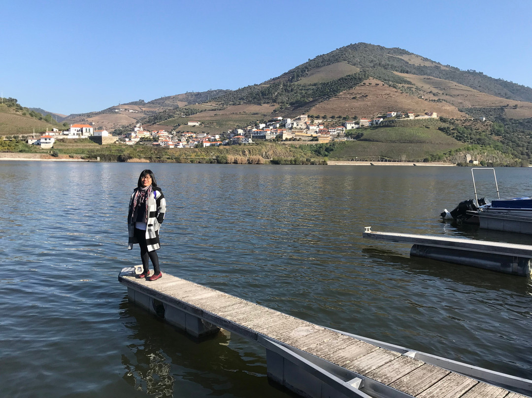 Hotel Folgosa Douro主图