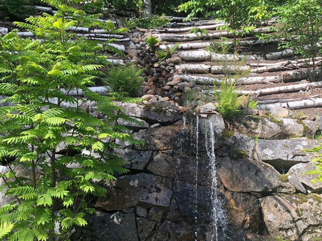 Arboretum Norr-于默奥必去景点