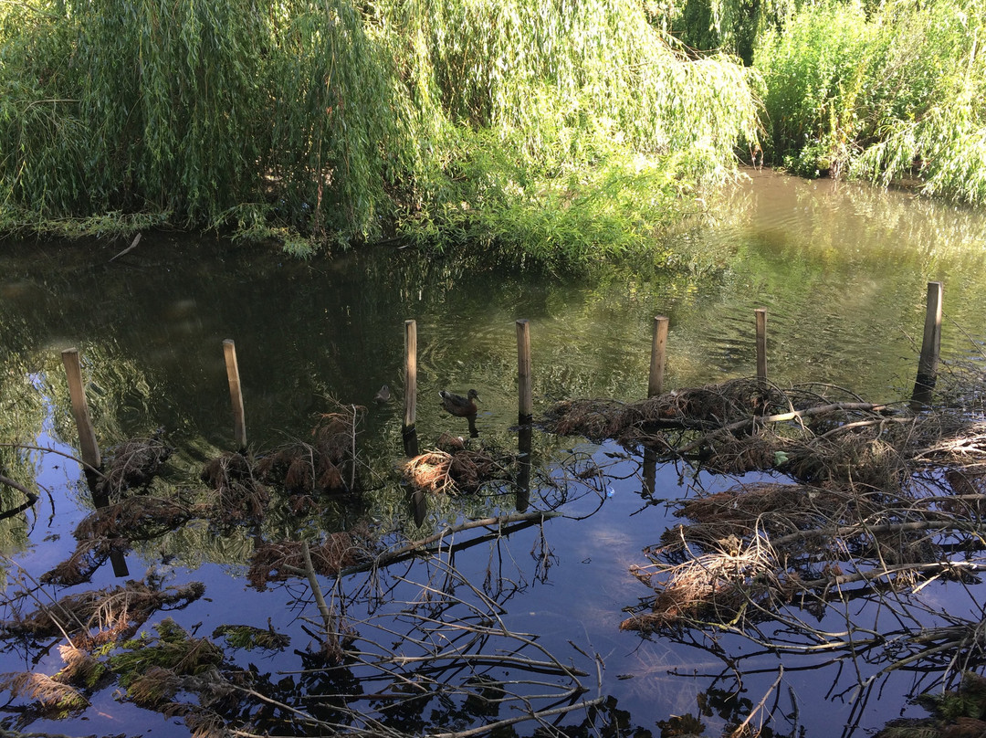 Oxhey Park景点图片