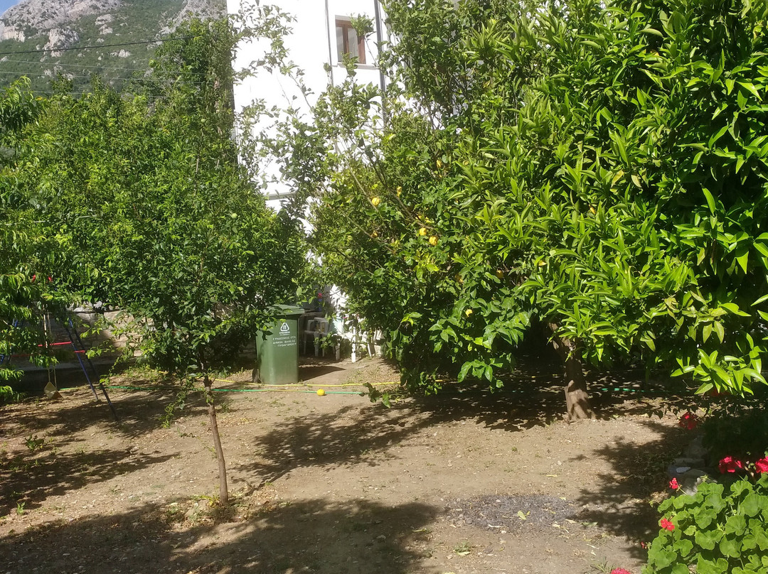 Alekos Rooms and Apartments主图