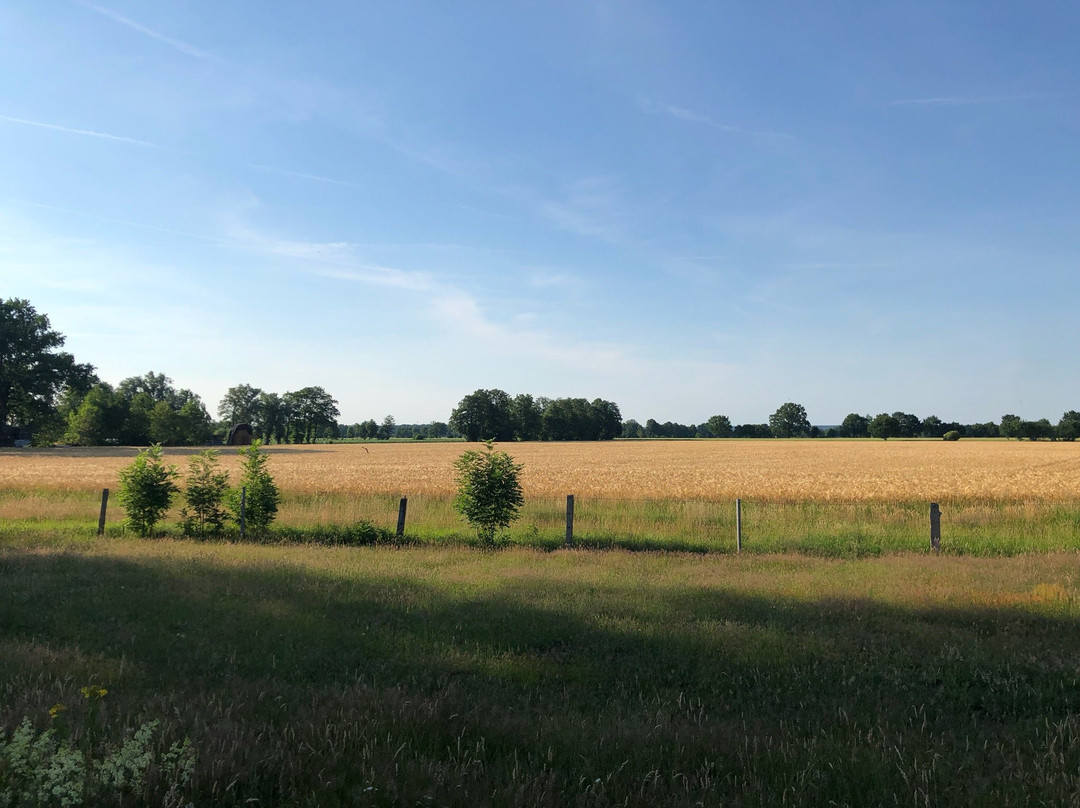 Pension Anke Heuer主图