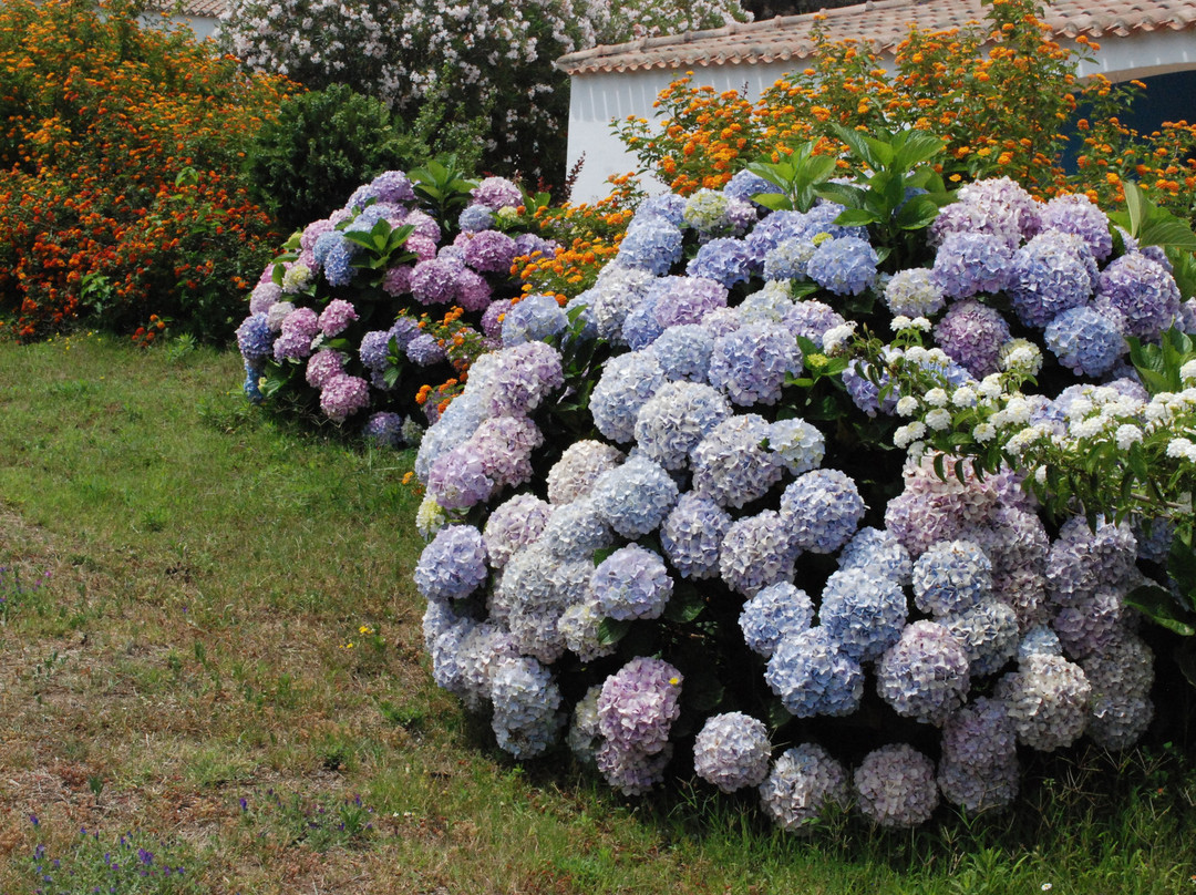 Resort Baia Cea主图