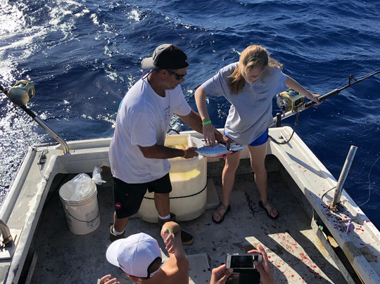 Go Fishing Hawaii-哈雷瓦必去景点