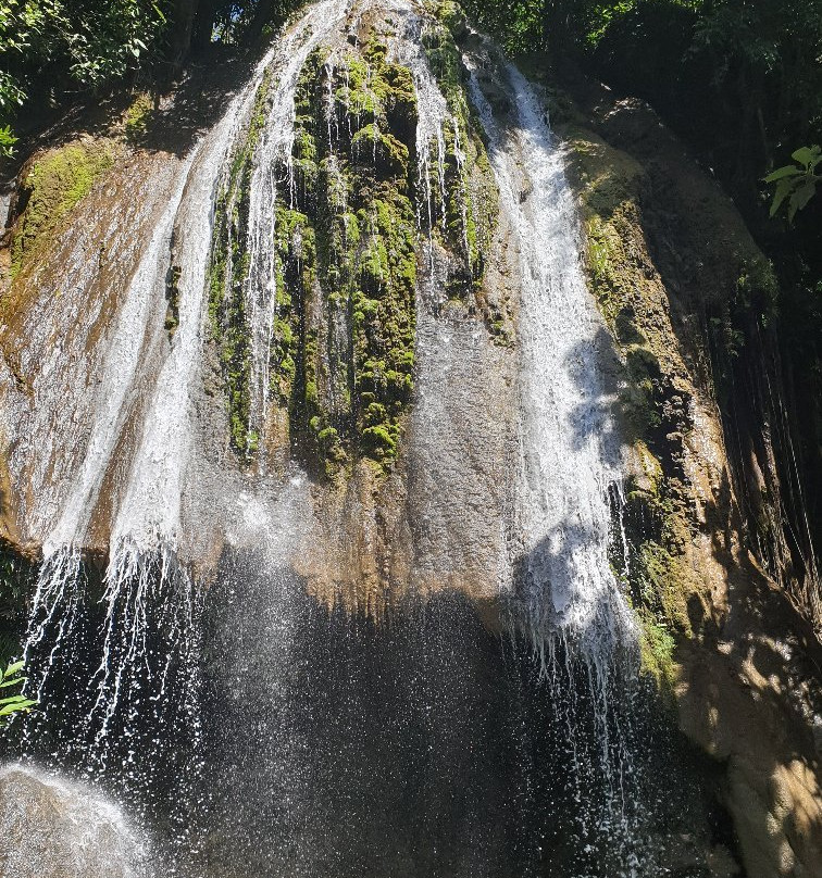 Alas Kandung Waterfall景点图片