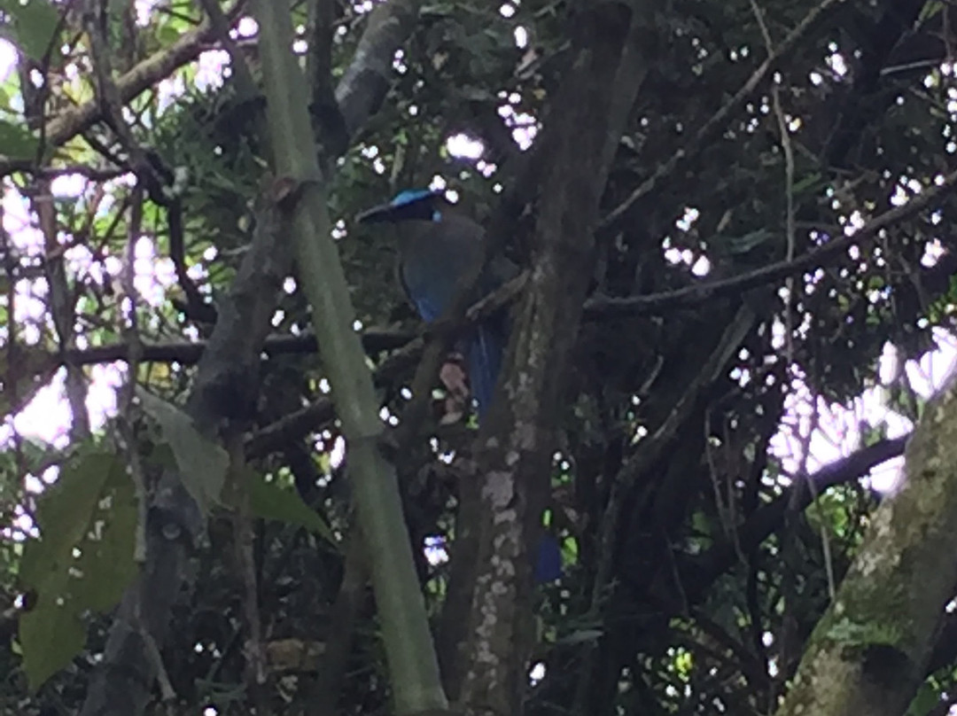 Bonita Farm-佩雷拉必去景点