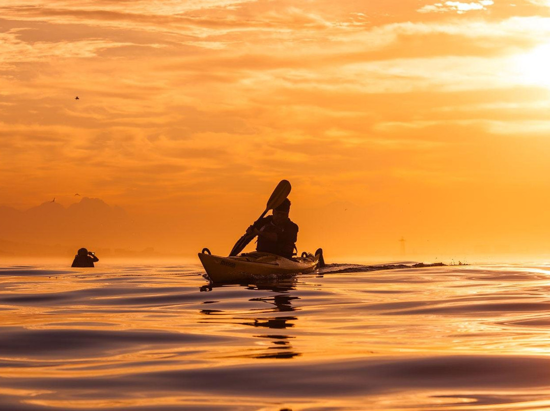 Gravity Micro Adventures-开普敦中心区必去景点