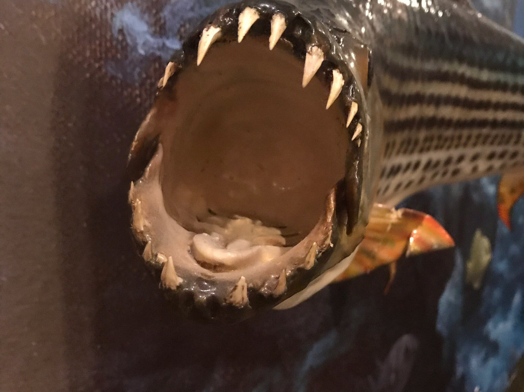 Harber Wildlife Museum-Sherman必去景点