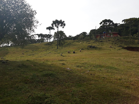 Pousada Vale Da Neblina主图