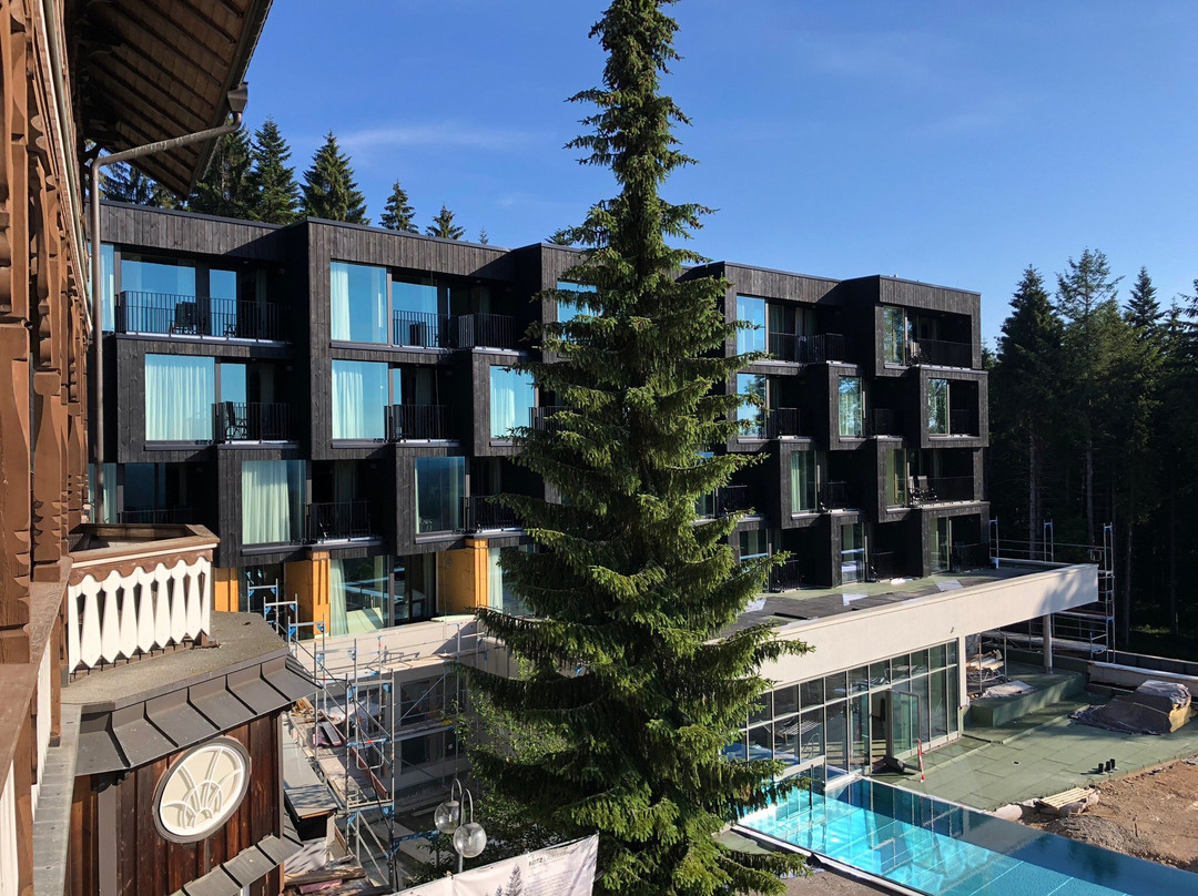 Waldhotel Zollernblick主图
