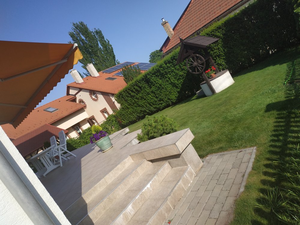 Zsuzsa Panzio-官方