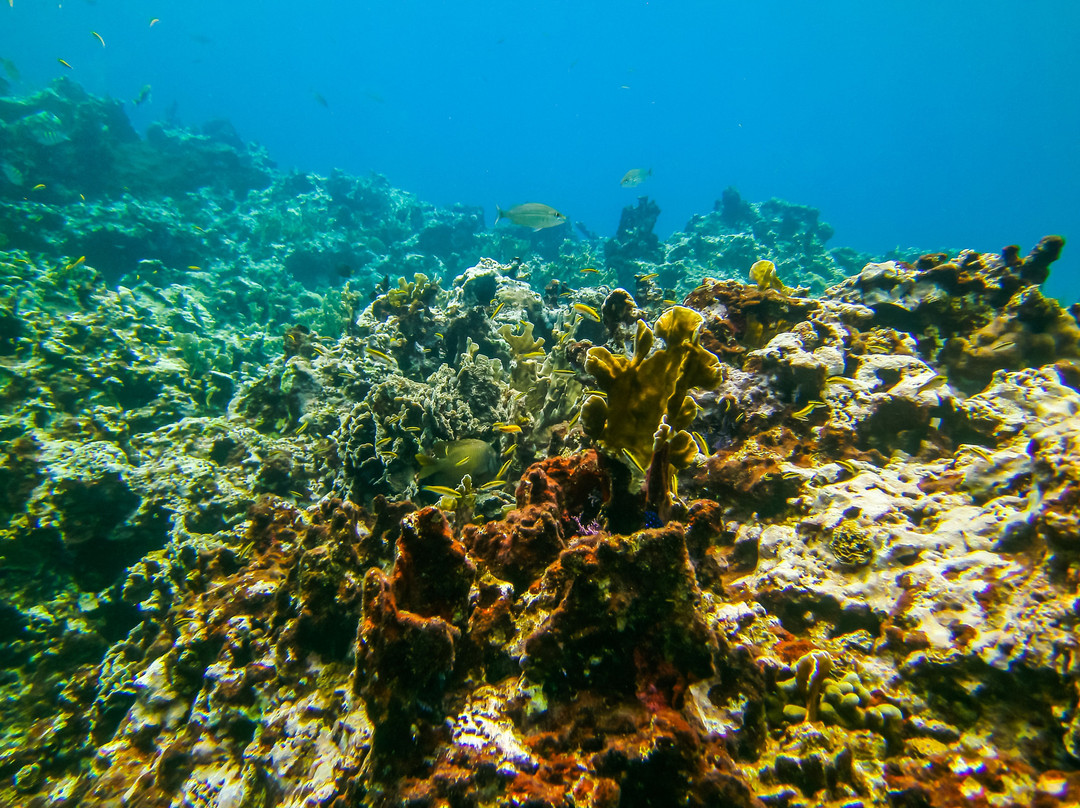 Las Galeras Divers-Las Galeras必去景点